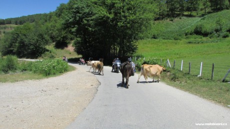 Montengero 2017 II (116)