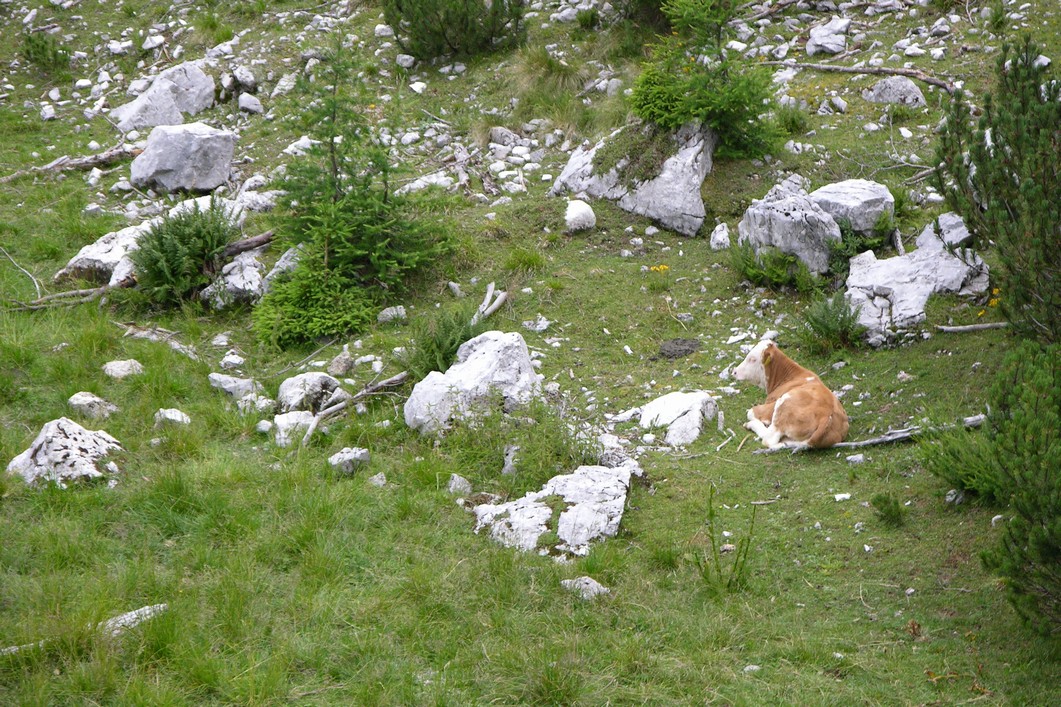 anabaze-dolomity-2010--202-